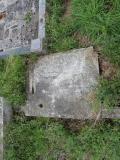 image of grave number 343033